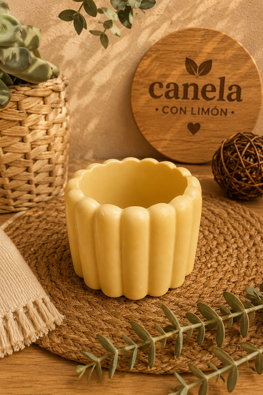 Escayola decorativa Recipiente Bizcochito